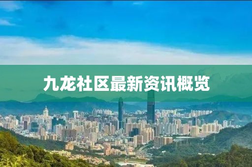 九龙社区最新资讯概览