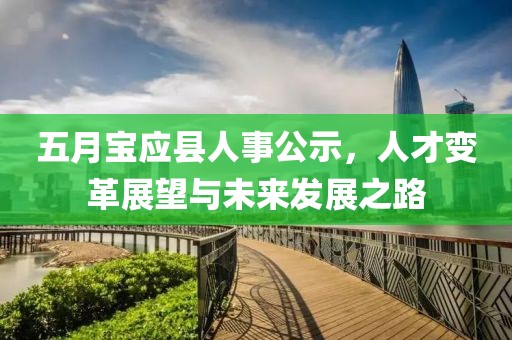 五月宝应县人事公示，人才变革展望与未来发展之路