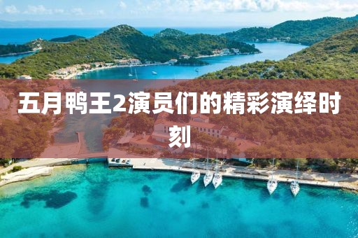 五月鸭王2演员们的精彩演绎时刻