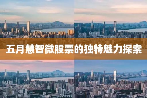 五月慧智微股票的独特魅力探索