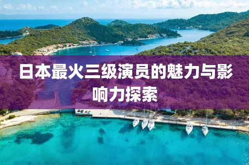 日本最火三级演员的魅力与影响力探索