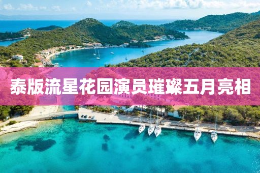 泰版流星花园演员璀璨五月亮相