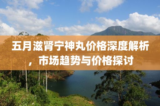 五月滋肾宁神丸价格深度解析，市场趋势与价格探讨