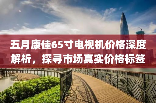 五月康佳65寸电视机价格深度解析，探寻市场真实价格标签