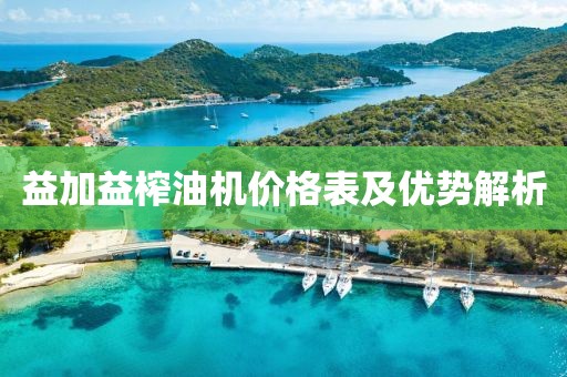 益加益榨油机价格表及优势解析
