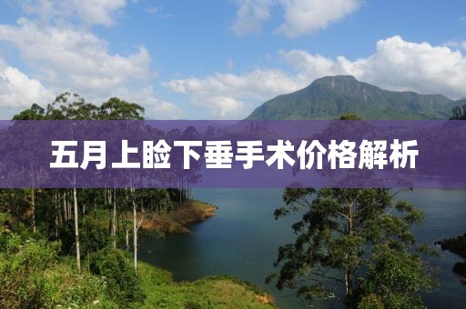 五月上睑下垂手术价格解析