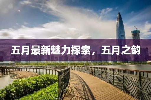 五月最新魅力探索，五月之韵