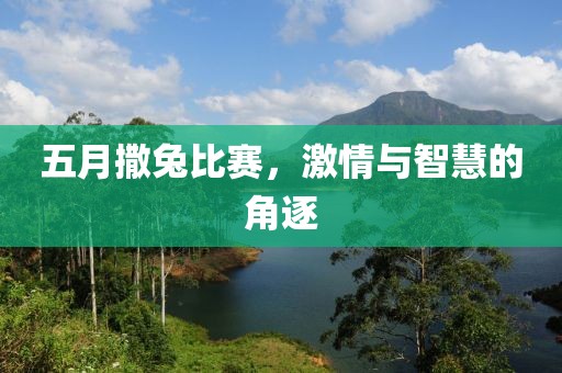 五月撒兔比赛，激情与智慧的角逐