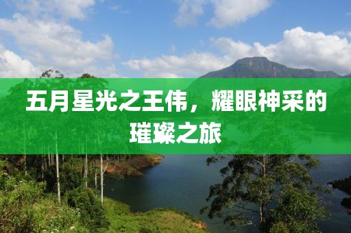五月星光之王伟，耀眼神采的璀璨之旅