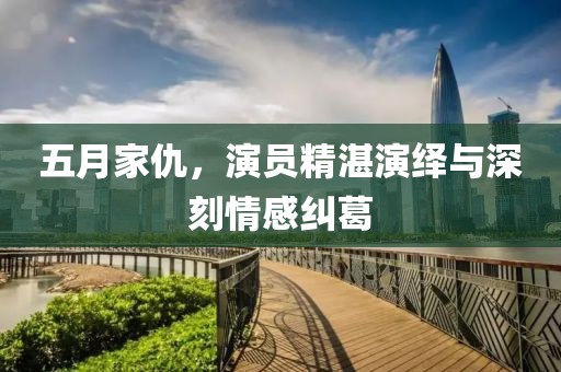 五月家仇，演员精湛演绎与深刻情感纠葛