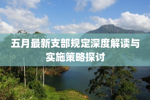 五月最新支部规定深度解读与实施策略探讨