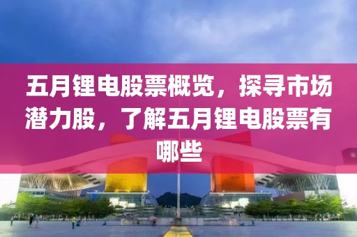 五月锂电股票概览，探寻市场潜力股，了解五月锂电股票有哪些