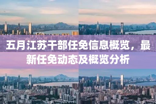 五月江苏干部任免信息概览，最新任免动态及概览分析