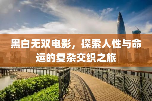 黑白无双电影，探索人性与命运的复杂交织之旅