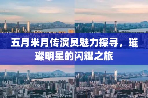 五月米月传演员魅力探寻，璀璨明星的闪耀之旅