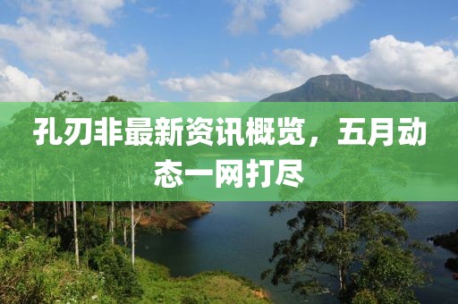 孔刃非最新资讯概览，五月动态一网打尽