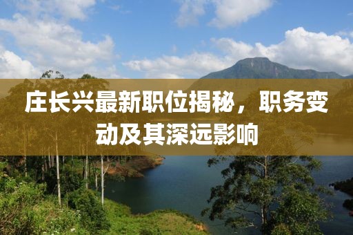 庄长兴最新职位揭秘，职务变动及其深远影响