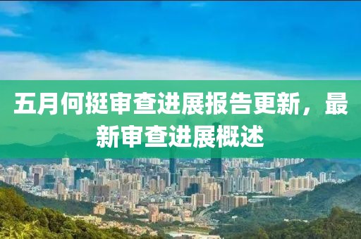 五月何挺审查进展报告更新，最新审查进展概述