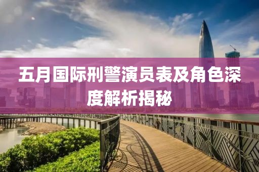五月国际刑警演员表及角色深度解析揭秘