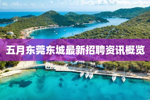 五月东莞东城最新招聘资讯概览