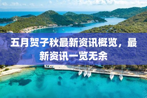 五月贺子秋最新资讯概览，最新资讯一览无余
