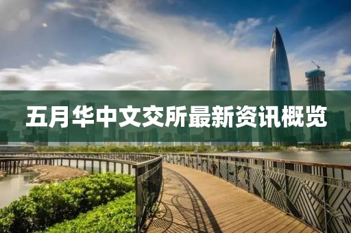 五月华中文交所最新资讯概览