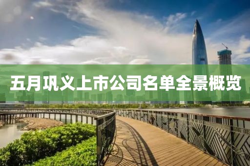 五月巩义上市公司名单全景概览