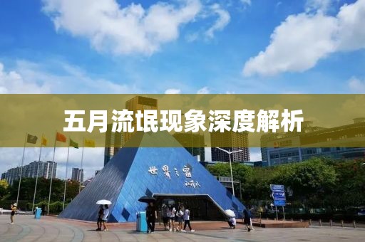 五月流氓现象深度解析