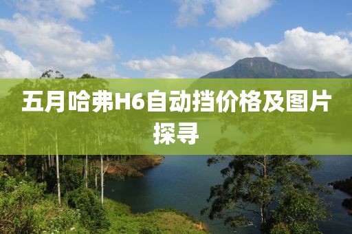 五月哈弗H6自动挡价格及图片探寻