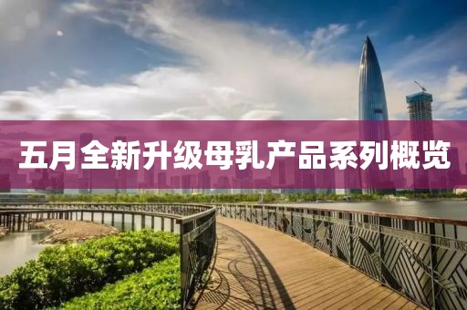 五月全新升级母乳产品系列概览