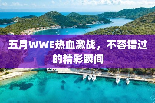 五月WWE热血激战，不容错过的精彩瞬间