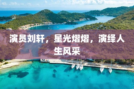 演员刘轩，星光熠熠，演绎人生风采