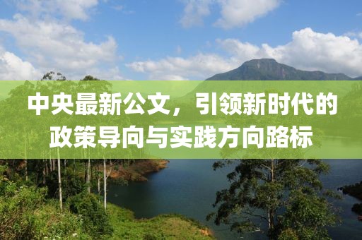 中央最新公文，引领新时代的政策导向与实践方向路标