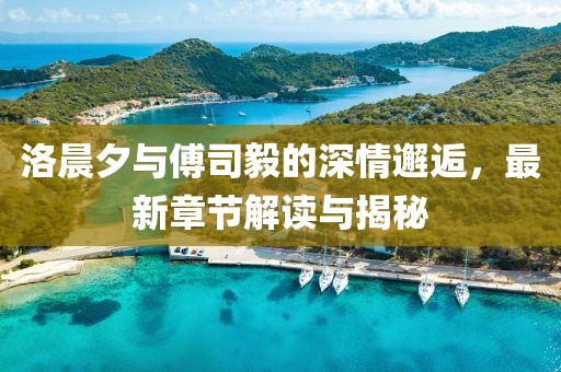 洛晨夕与傅司毅的深情邂逅，最新章节解读与揭秘