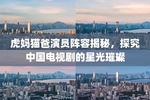 虎妈猫爸演员阵容揭秘，探究中国电视剧的星光璀璨
