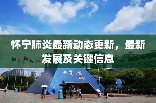 怀宁肺炎最新动态更新，最新发展及关键信息