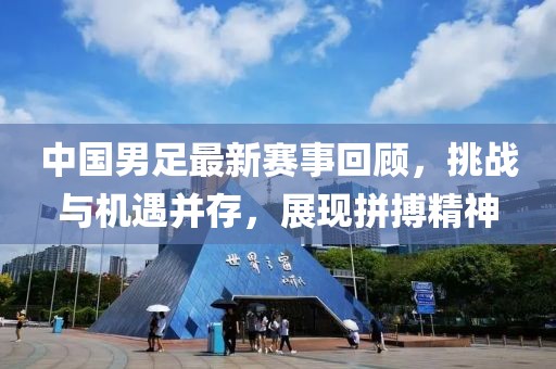 年少 第11页