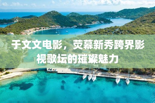 于文文电影，荧幕新秀跨界影视歌坛的璀璨魅力