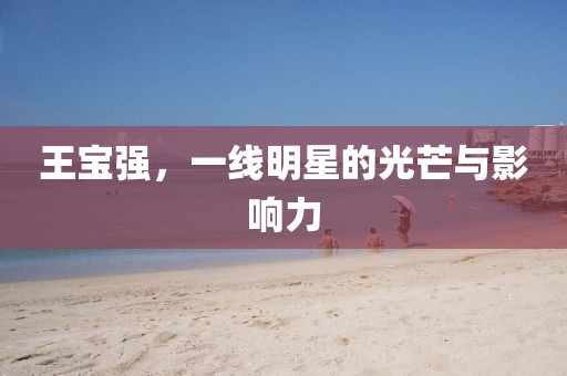 王宝强，一线明星的光芒与影响力