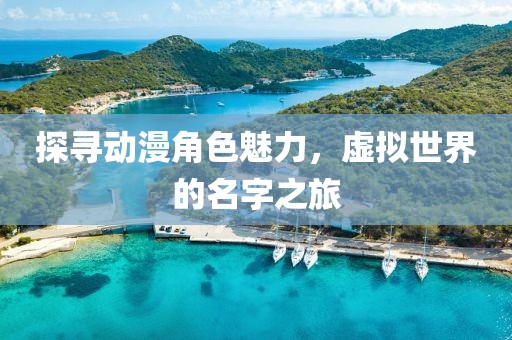 探寻动漫角色魅力，虚拟世界的名字之旅