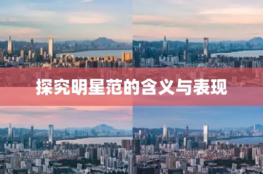 探究明星范的含义与表现