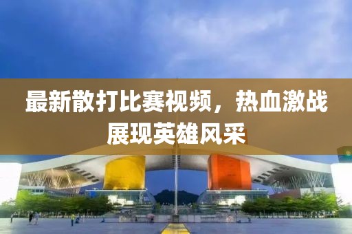 最新散打比赛视频，热血激战展现英雄风采