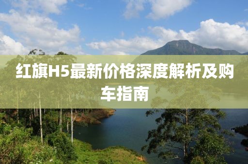 红旗H5最新价格深度解析及购车指南