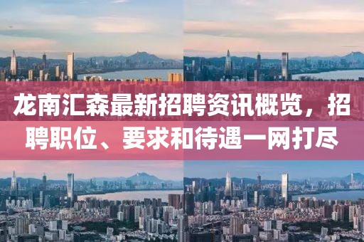 夏了南城 第14页