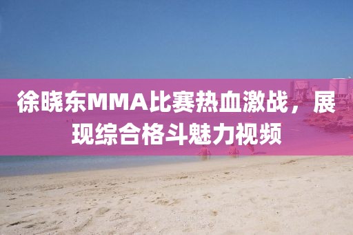 徐晓东MMA比赛热血激战，展现综合格斗魅力视频