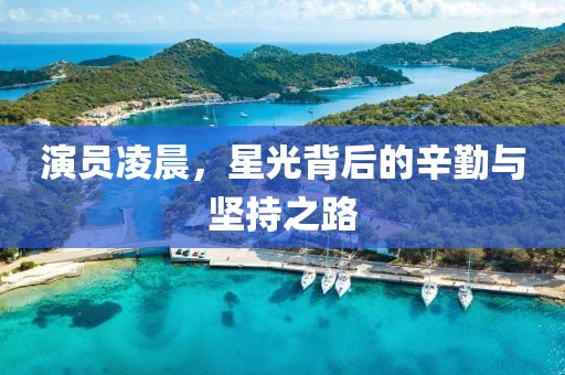 演员凌晨，星光背后的辛勤与坚持之路