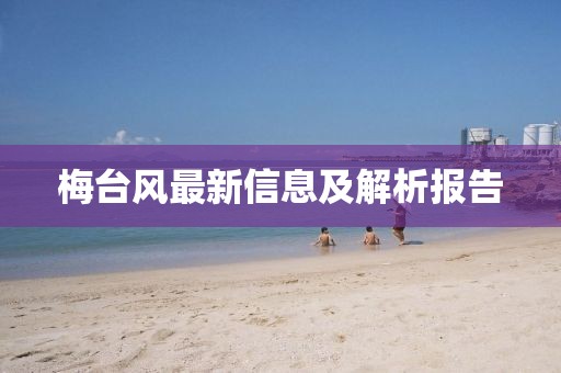 梅台风最新信息及解析报告