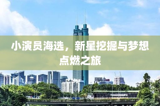 小演员海选，新星挖掘与梦想点燃之旅