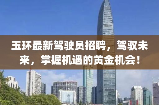 玉环最新驾驶员招聘，驾驭未来，掌握机遇的黄金机会！
