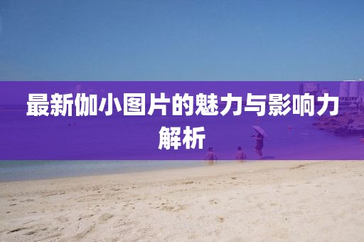 最新伽小图片的魅力与影响力解析